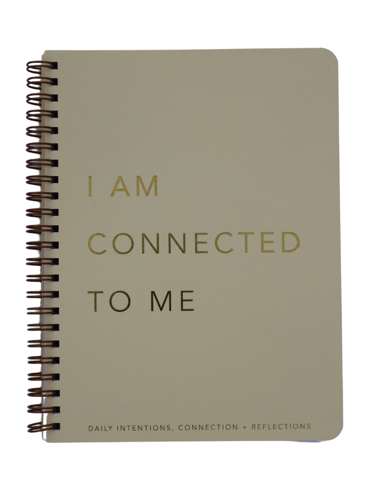 Daily Intention, Connection, Reflection Planner